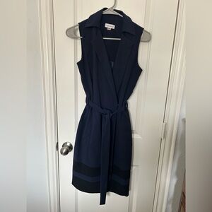 Calvin Klein Navy Sleeveless Dress